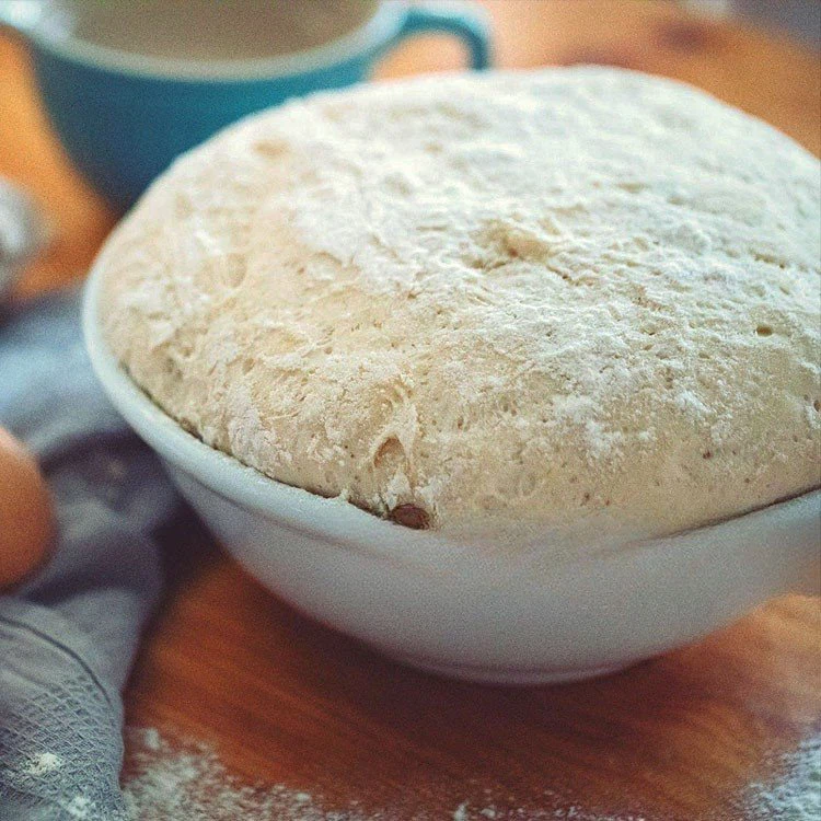 homemade pizza dough fast acting yeast