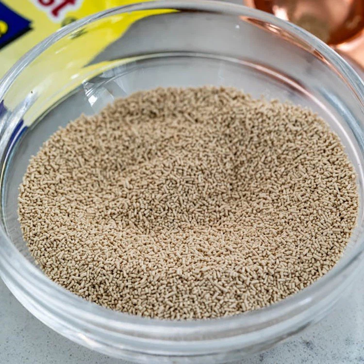 homemade pizza dough using active dry yeast